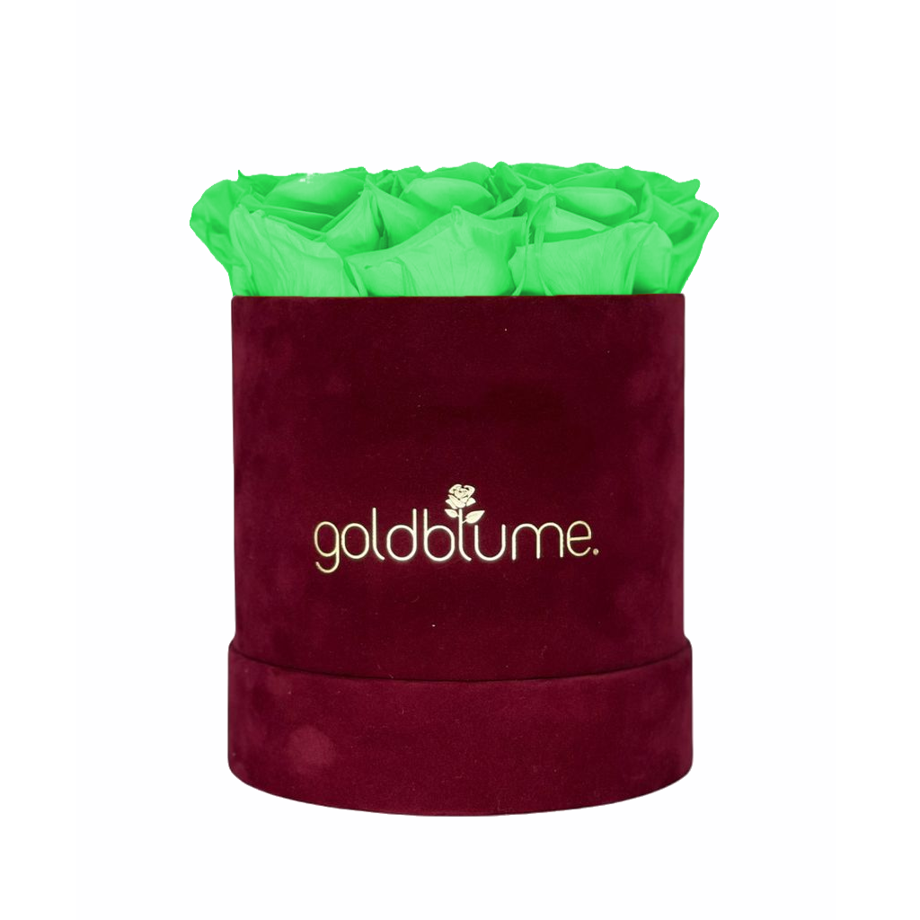 Collection Velours Bordeaux