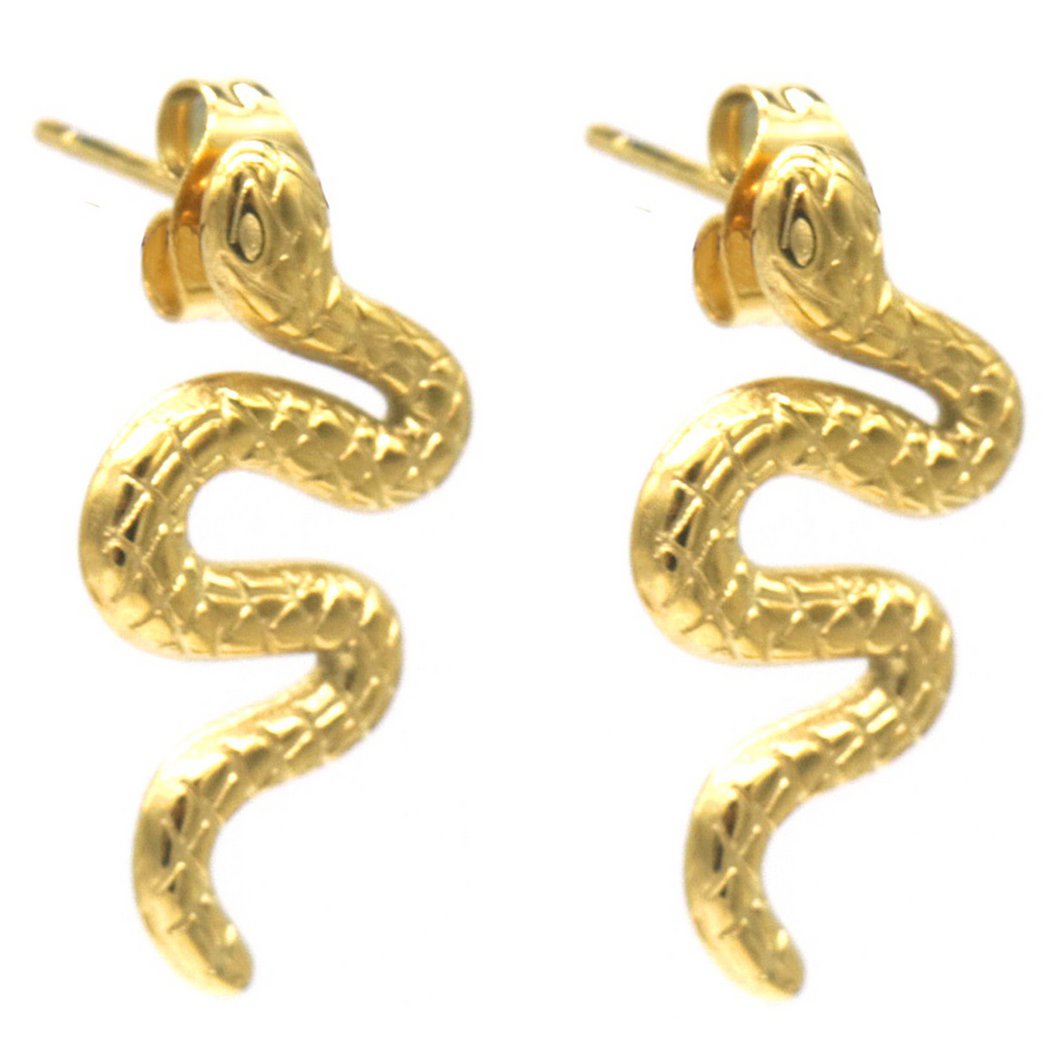 C-F20.2 E2457-060G S. Steel Earrings Snakes 2.5cm