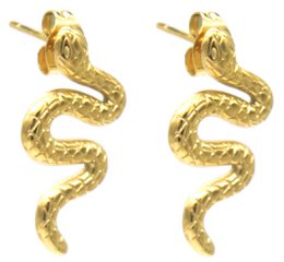 C-F20.2 E2457-060G S. Steel Earrings Snakes 2.5cm
