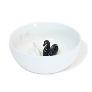 Schuppen Sie weiße Schwäne, schwarze Schwäne