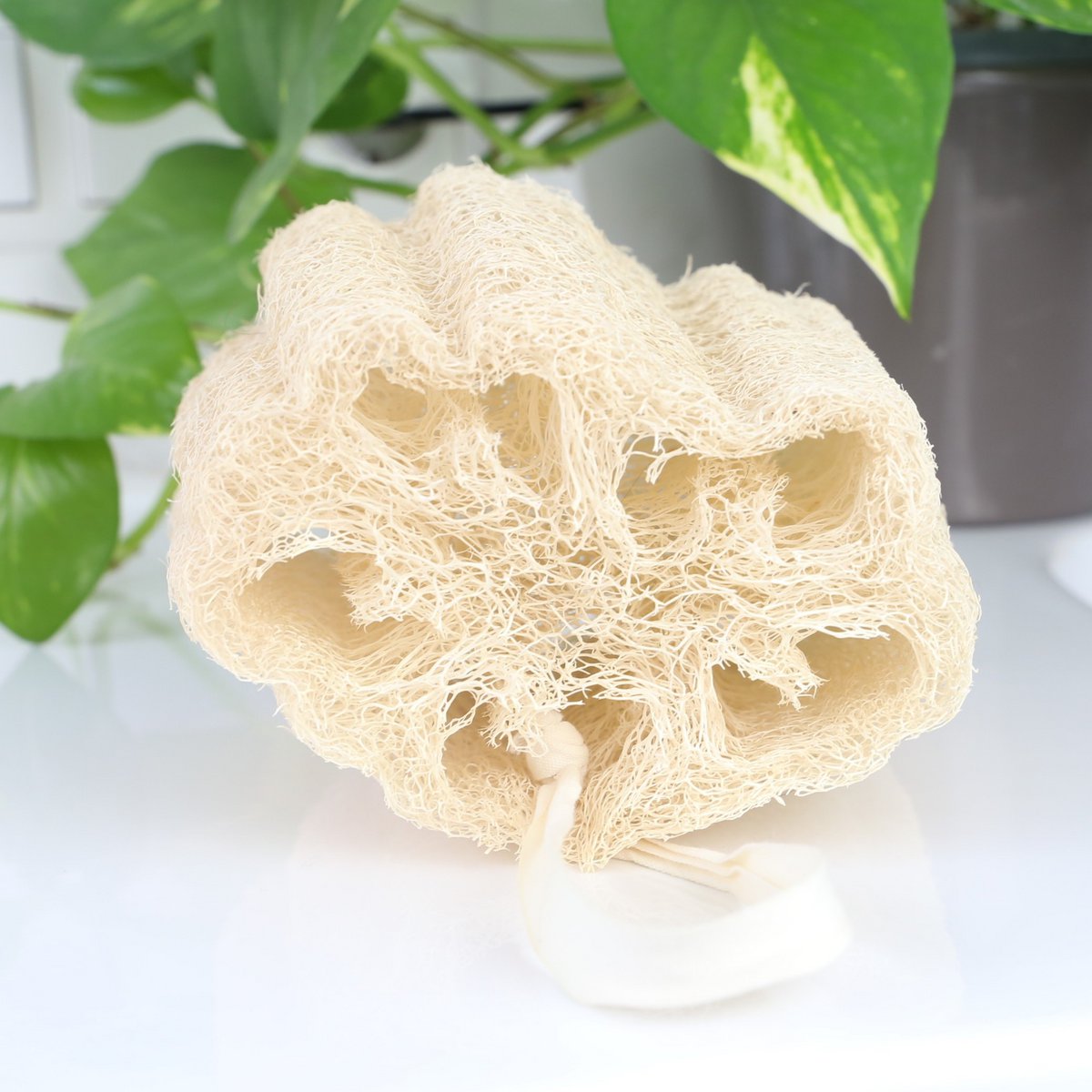 Loofah Lichaamsspons | Zachte Egyptische plant