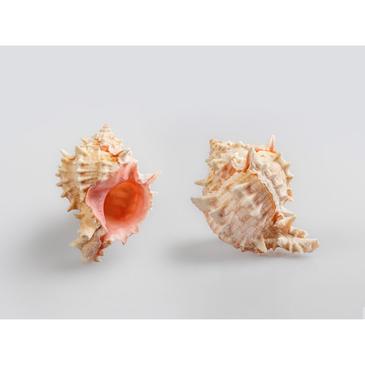 Coffret Cadeau Bien-être de Luxe Rose : Cannelle