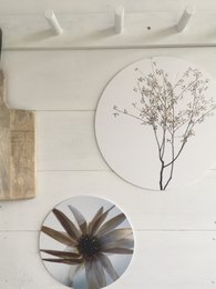 Wall circle natural flower