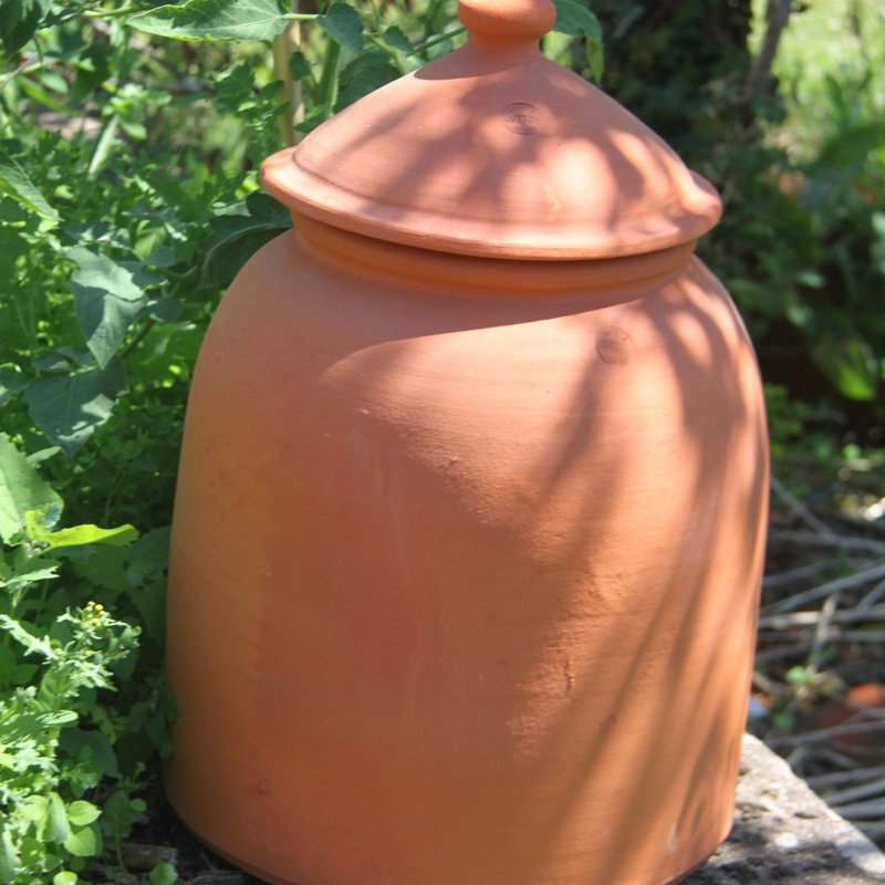 Rabarberpot