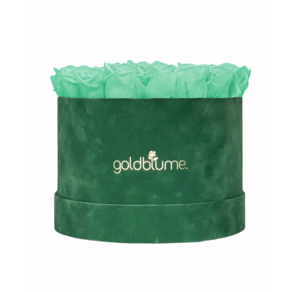 Velvet Green Collection
