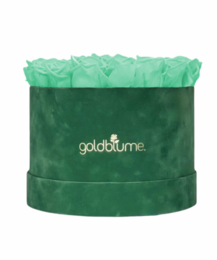 Velvet Green Collection