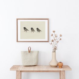 Plakat 3 gråspurve