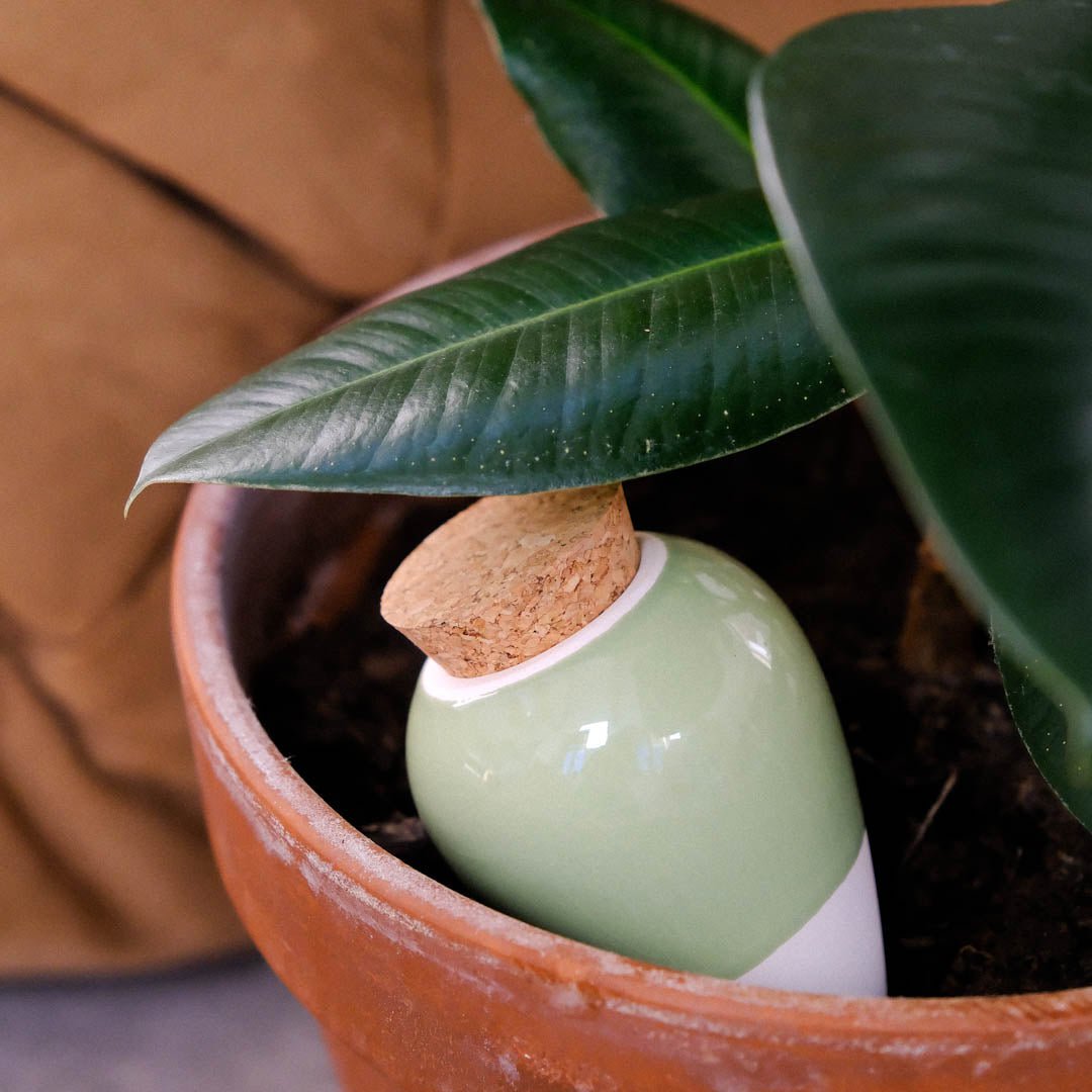 Być - Vert