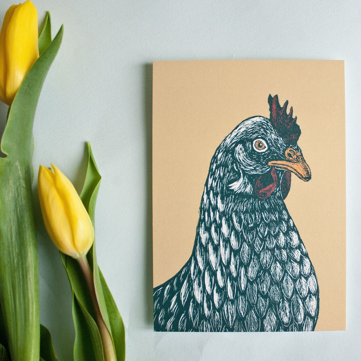 Carte postale | poulet
