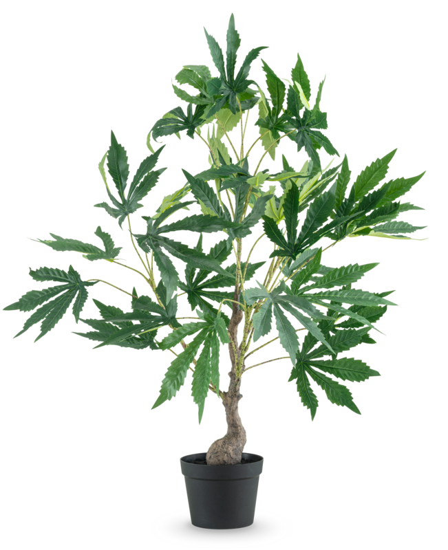 Pianta artificiale Canapa Cannabis foglie 60 cm