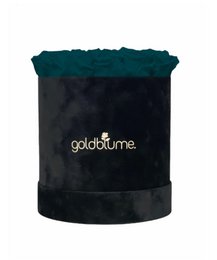 Velvet Black Collection