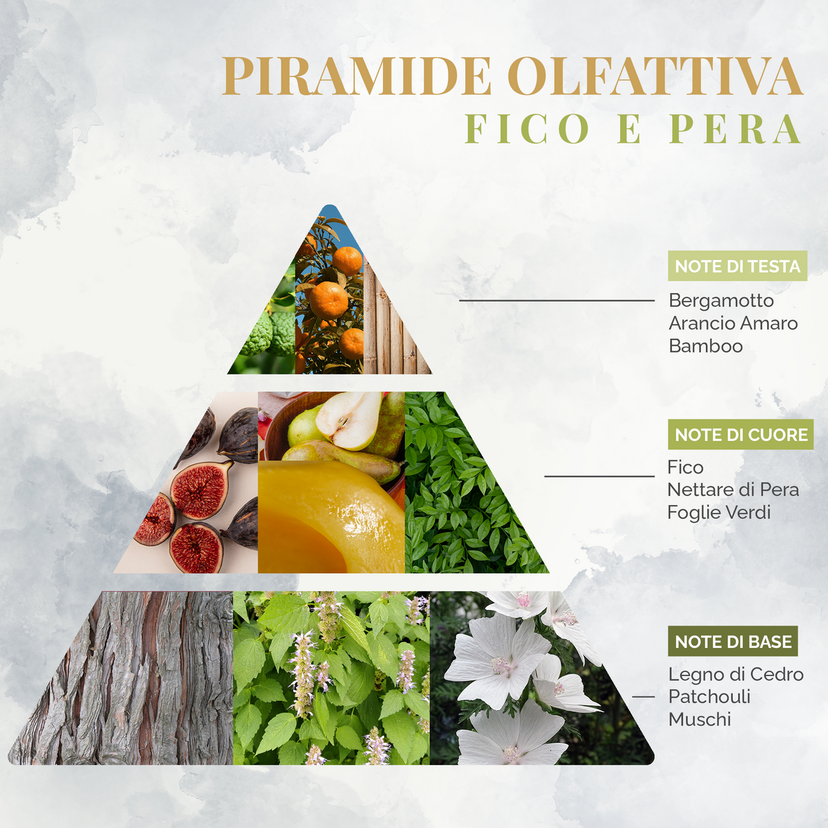 Parfum pour FICO et poitrine de poire 75 ml