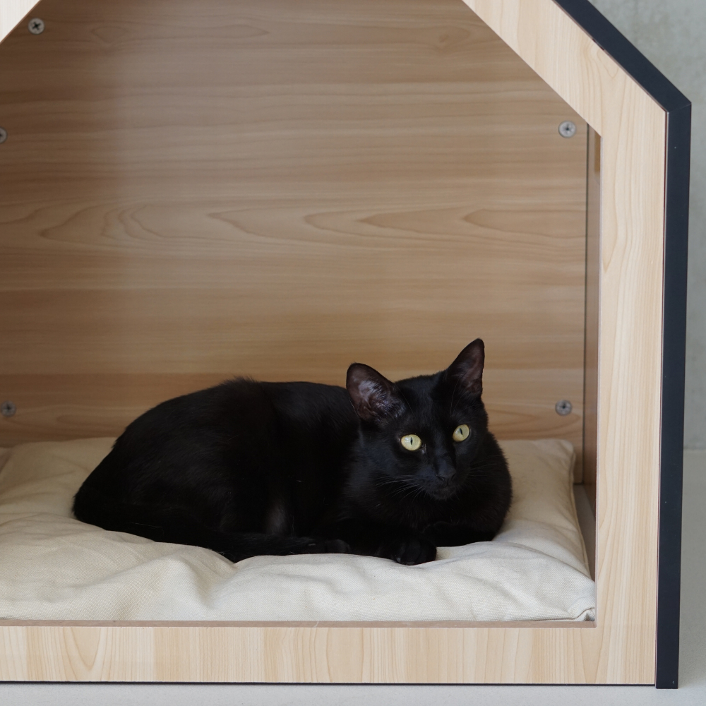 Kattenhuis | hondenhuis | hout | katoen | zwart | 58 x 58 x 65 cm