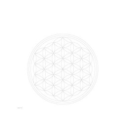 FLOWER OF LIFE 0,7 l Glasflasche