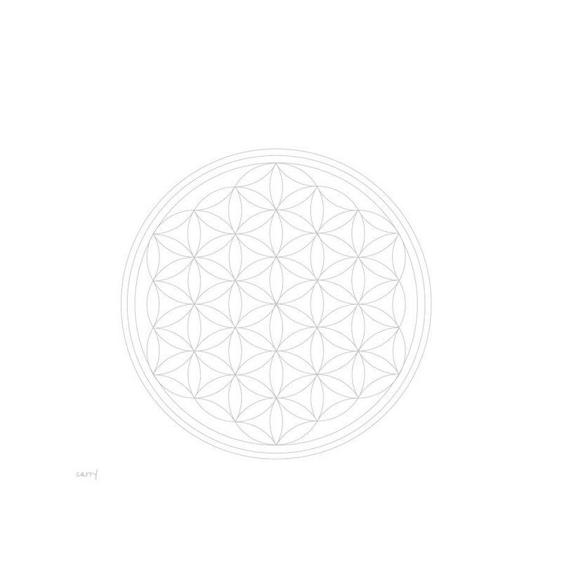 FLOWER OF LIFE 0,7 l Glasflasche
