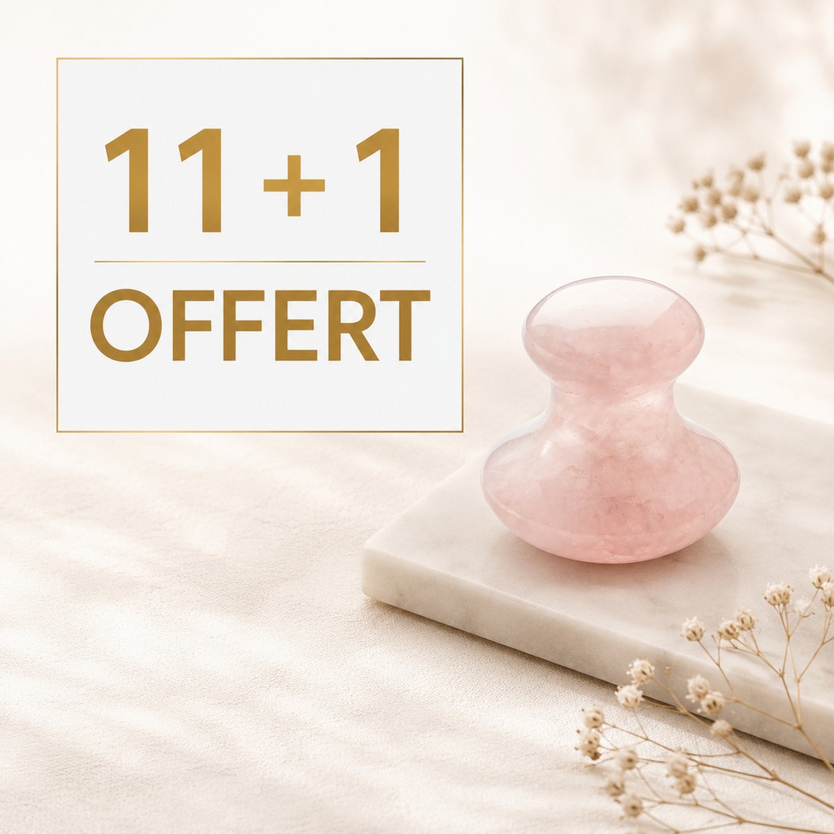 Oferta de Lote Descubrimiento 11 + 1 Gratis - Champi Gua Sha Rostro y Cuerpo Cuarzo Rosa