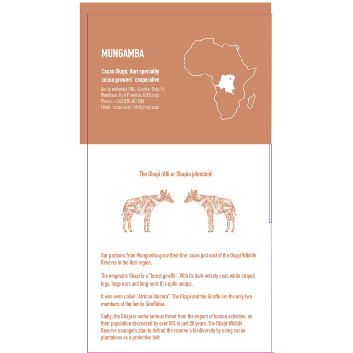 Mungamba 50% Dark Milk - Congo - BIO