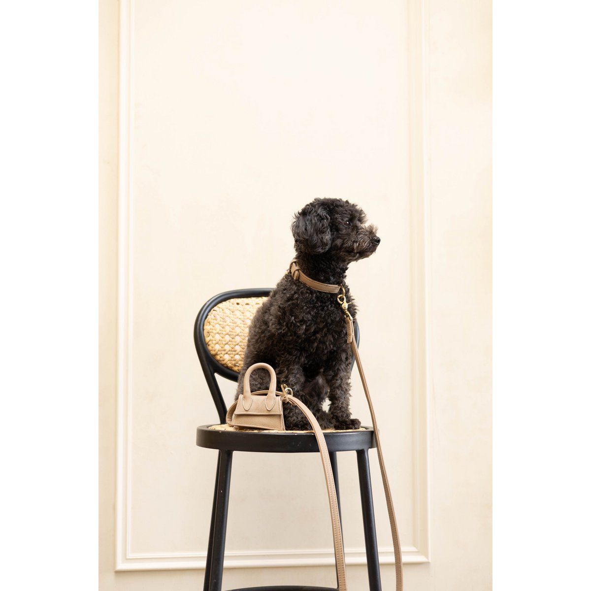 The Dog Musthaves Designer Bag – Belohnungstasche für Hundeleckerlis und Kotbeutelspender – Sand Taupe