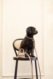 The Dog Musthaves Designer Bag – Belohnungstasche für Hundeleckerlis und Kotbeutelspender – Sand Taupe