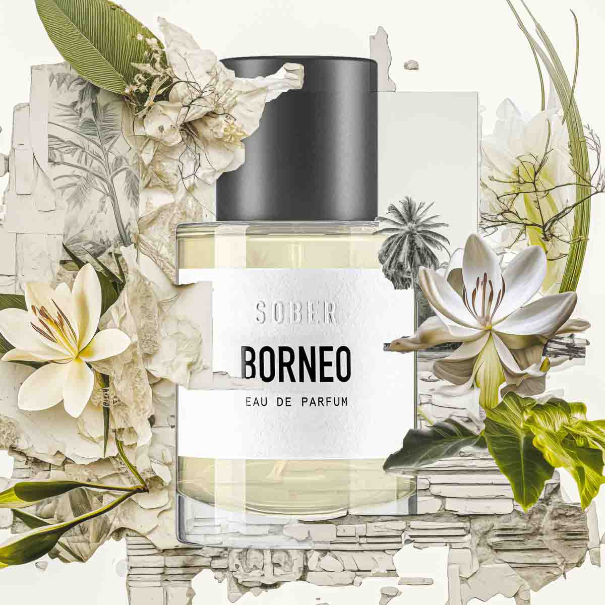 BORNEO – Eau de Parfum