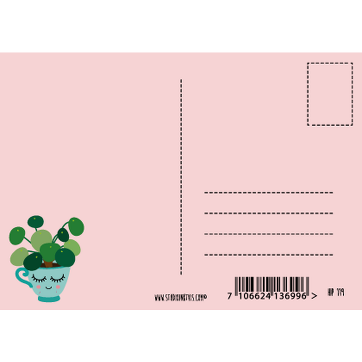 Pilea pandekageplante