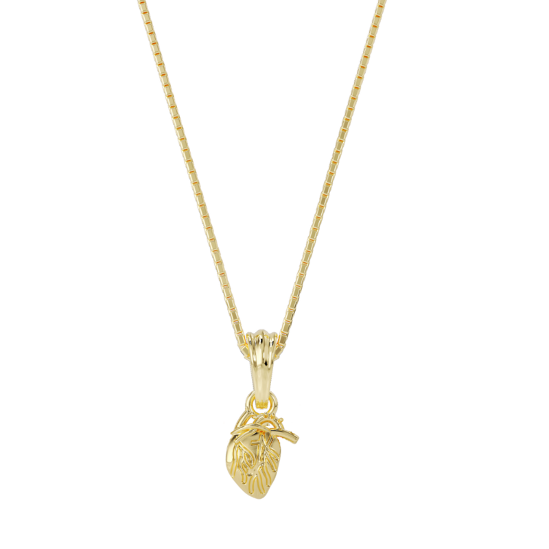 Anatomisches Herz Halskette Gold
