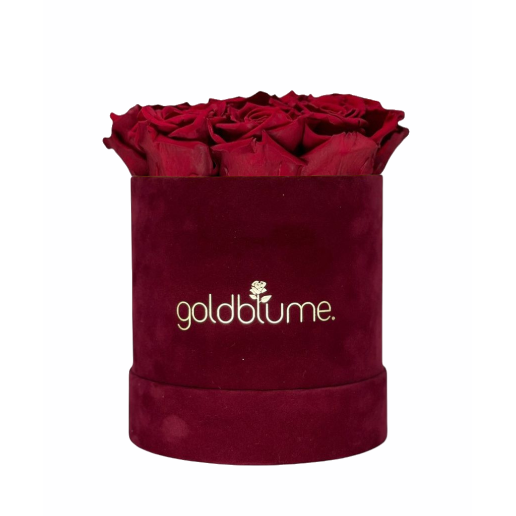 Collection Velours Bordeaux