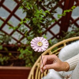 Gerbera ⌀ environ 5 cm | tige de 39 cm