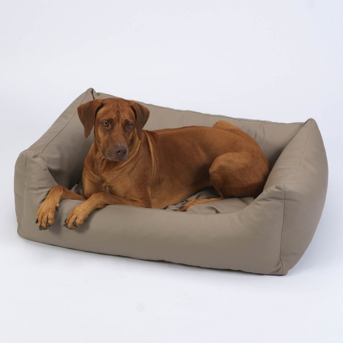 Hundebett Box Bett Saddle Kunstleder sand
