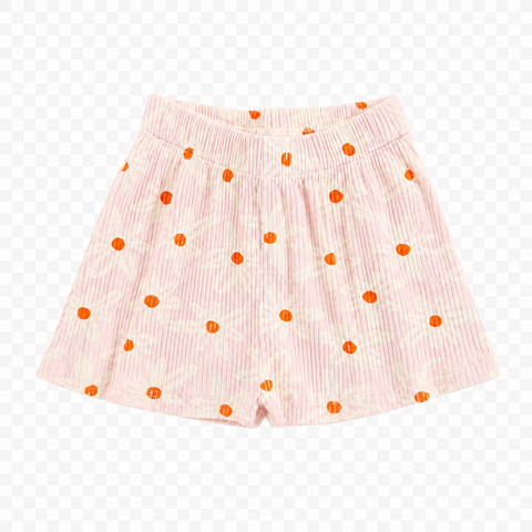 rok Zora (nieuw)