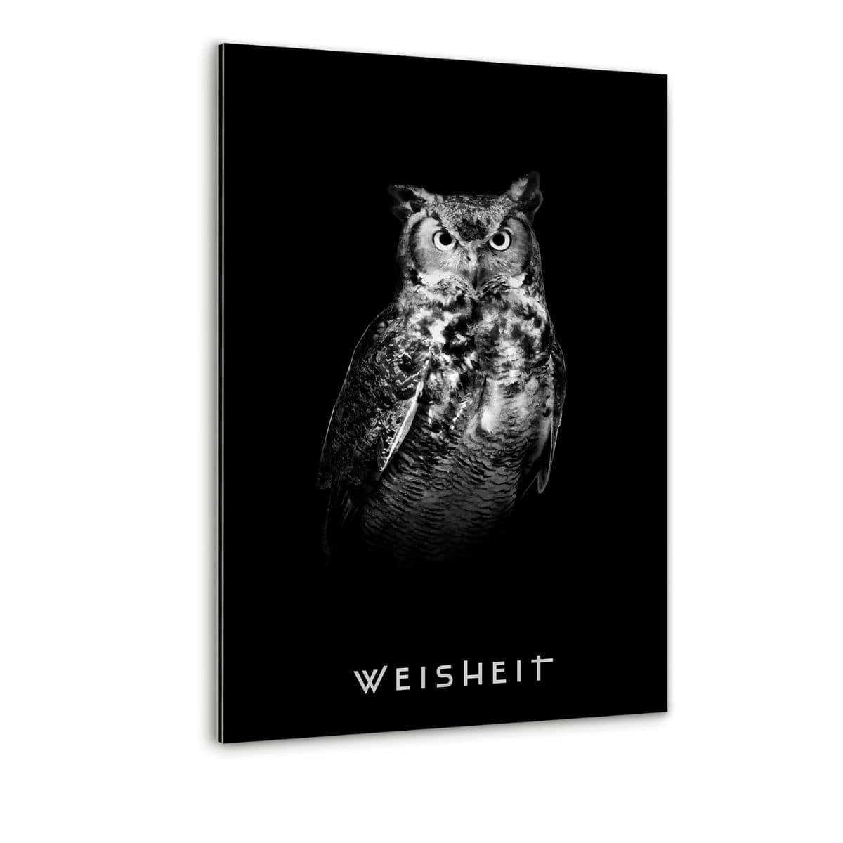 Wisdom - plexiglass picture