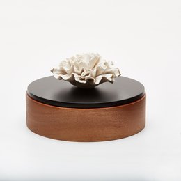 ES caja (madera y negra)