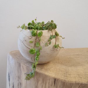 Plant bowl, round, ceramic, frost-proof, decoration, gift, unique, D= 11 cm x 9 cm (H), plant opening D= 6.5 cm
