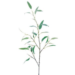 R.Ucalipto T.Natur 115cm(80)