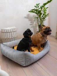 Cuccia per cani e gatti SoftColor - grigio chiaro/multicolore