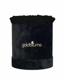 Velvet Black Collection
