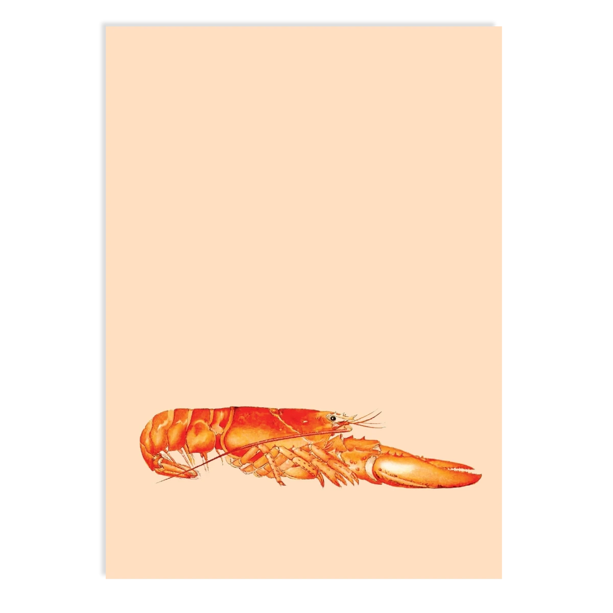 Postkarte Fred (Lobster)