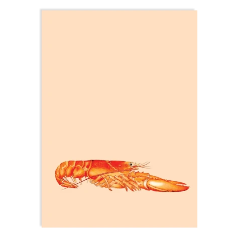 Postkarte Fred (Lobster)