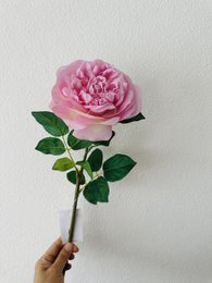 QMF Hand Touch Rose 65 cm Violak 1 PZ