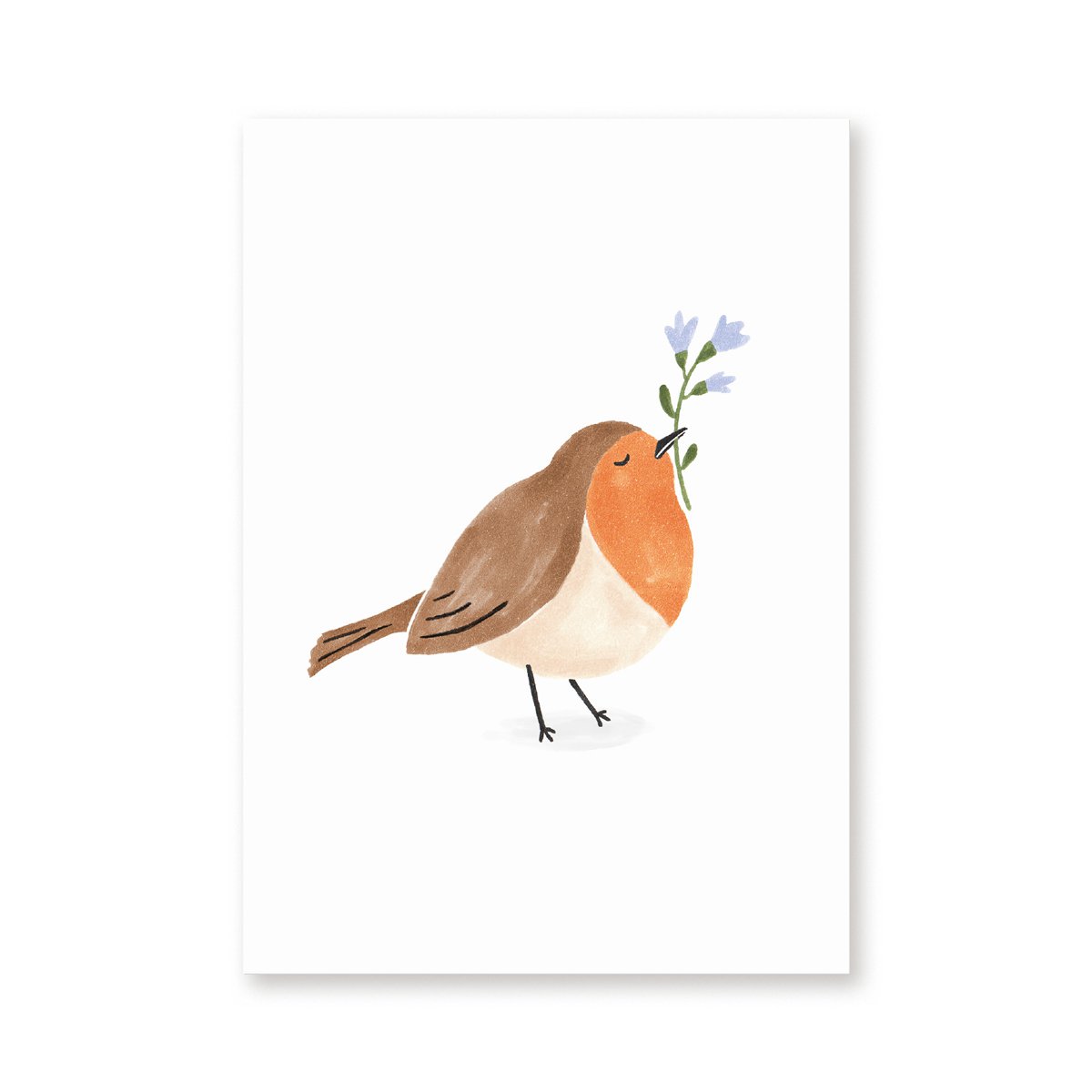 Postal | Petirrojo | Aves