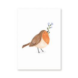 Postal | Petirrojo | Aves