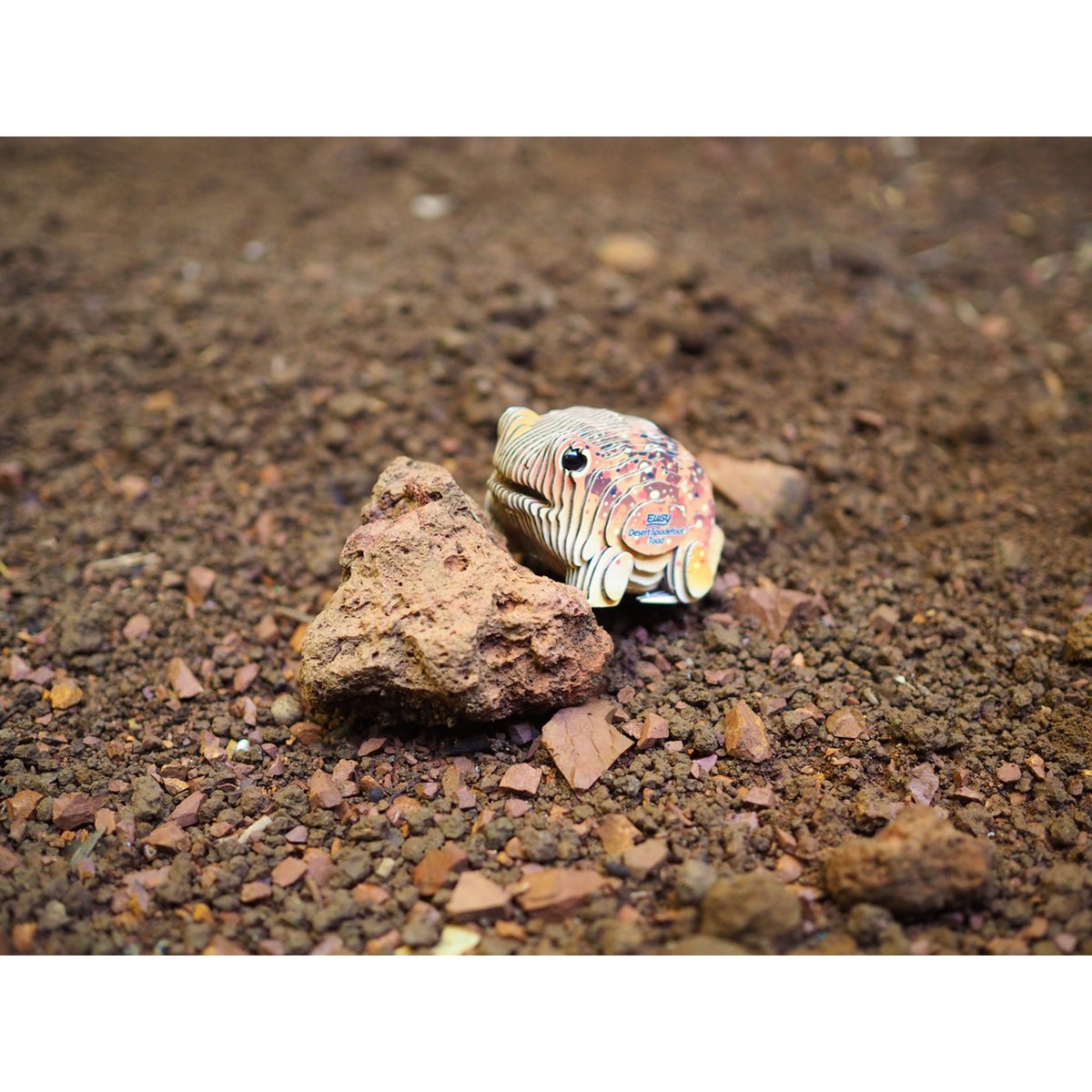 EUGY 3D Puzzle - Desert Path