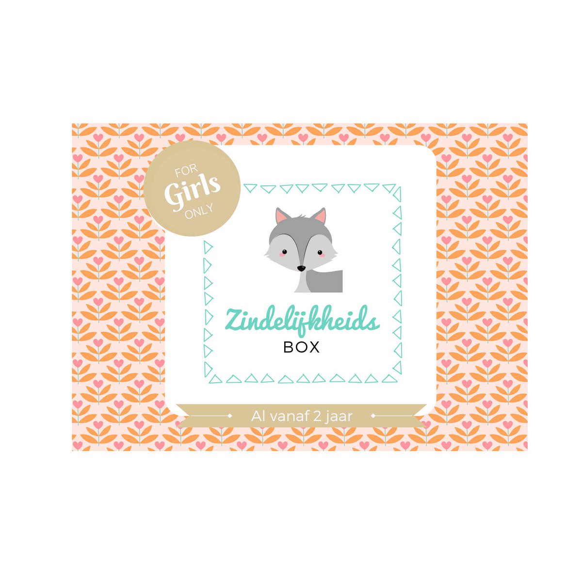 Zindelijkheidsbox - Meisje editie - Zindelijkheidstraining kind - Peuter - Leren op het potje / naar de wc