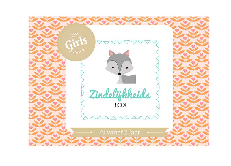 Zindelijkheidsbox - Meisje editie - Zindelijkheidstraining kind - Peuter - Leren op het potje / naar de wc