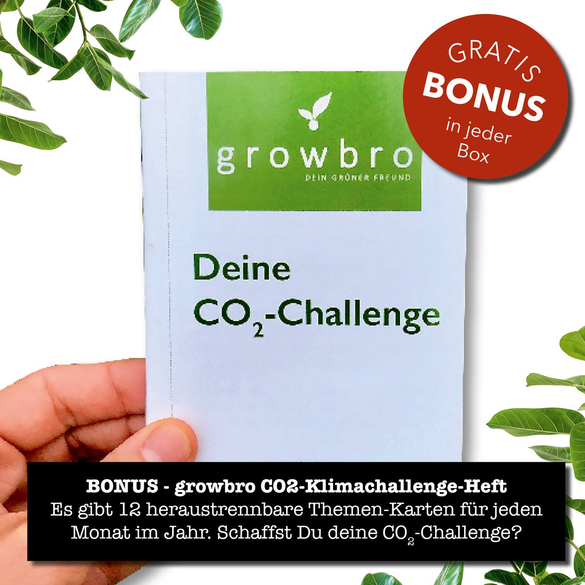ensemble de culture d'arachides pour enfants growbro, ensemble de découverte de jardin, enfants chercheurs, cadeau pour enfants, cadeau d'anniversaire pour enfants, expérience à apporter