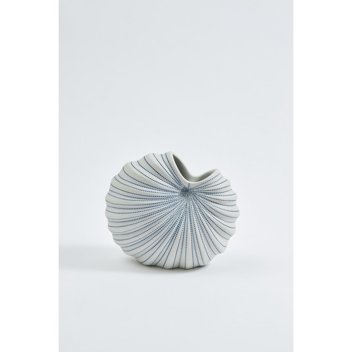 Vaso per palme - Punto blu Y22
