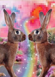 Carte postale lapin 10 pcs.