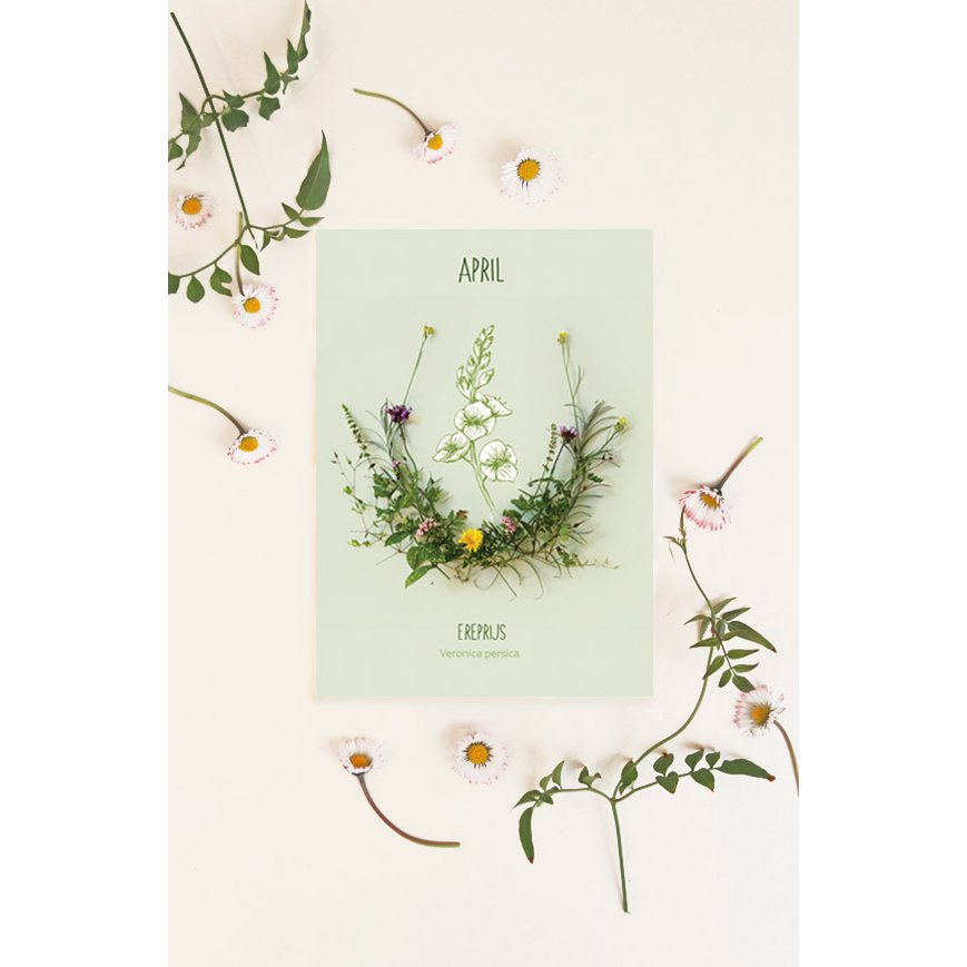 Map monthly flower April
