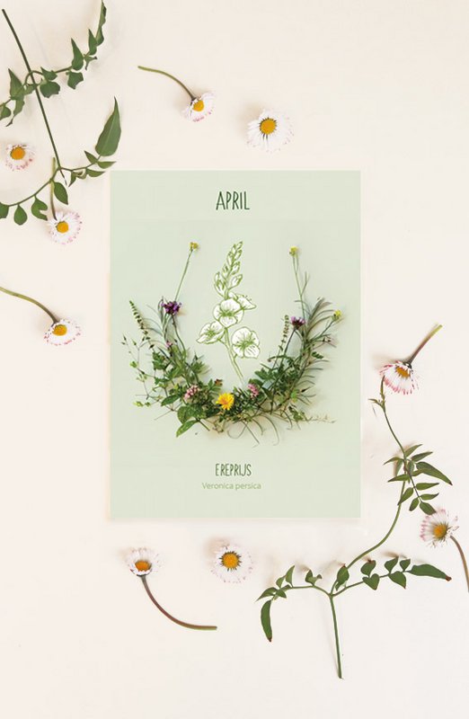 Map monthly flower April