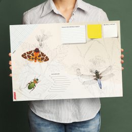 Schreibtischunterlage Insekten – Nachtfalter, Käfer & Libelle